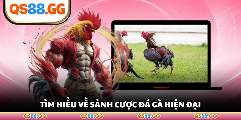Tìm hiểu về sảnh cược đá gà hiện đại