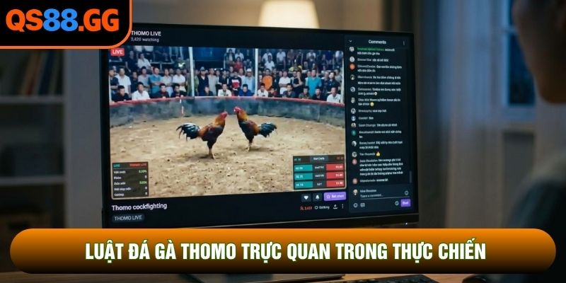 Luật đá gà Thomo trực quan trong thực chiến